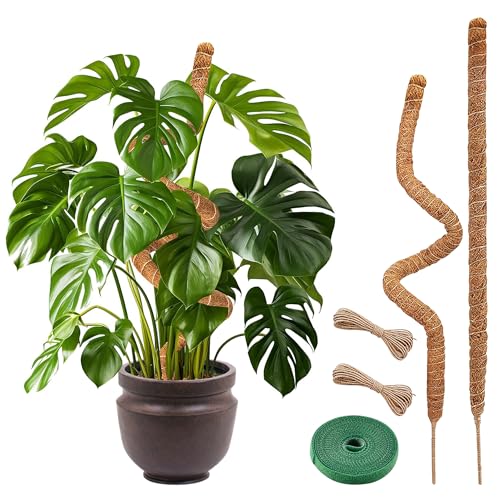 Moss Poles for Climbing Plants – Bendable Stake for Indoor Plants 28 Inch (2 Pack), Monstera Support, Moss Stick, Climbing Plant Support