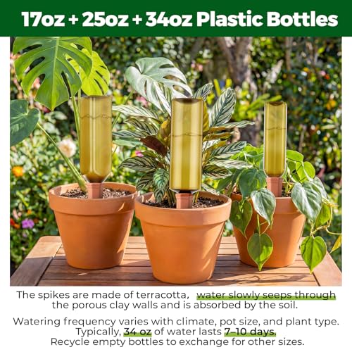 12 Pcs Terracotta Watering Spikes Plant Bottles, 17oz 25oz 34oz - view 4