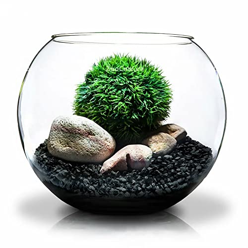 Horticultural Charcoal for Plants 1 qt, All Natural Hardwood Charcoal, Activated Charcoal for Soil Amendment, Orchids, Terrariums, and Gardening - view 4