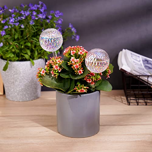 Glass Plant Self Watering Globes 2-Pack Pearl Luster Iridescent - view 3