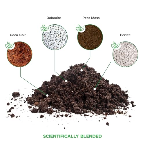 Novaterra Fiddle Leaf Fig Potting Soil Mix for Ficus Lyrata, 2.4 Quarts - view 4