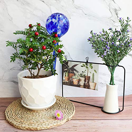 2 Pack Plant Watering Globes, Automatic Glass Watering Bulbs - view 7