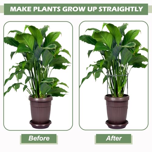 12 Pack Plant Support Stake Peony Cages, 16 Inch Peony Supports for Outdoor Plants, with 15 Pcs Plant Labels, 20 Pcs Plant Clips, 7ft Plant Ties - view 2