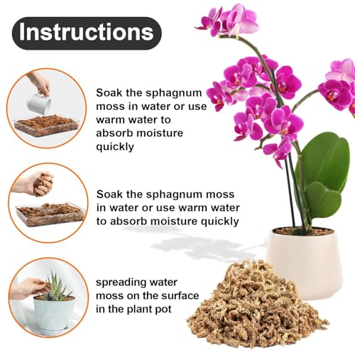 Sphagnum Moss for Plants - 3 OZ Long-Fiber Orchid Moss for Repotting - view 2