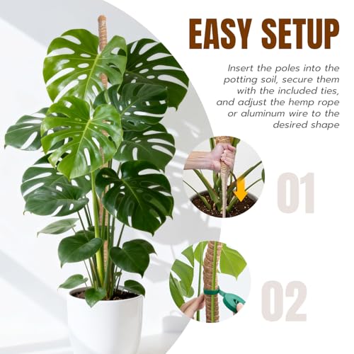 Bendable Moss Pole for Monstera, 2-Pack, 47 Inch - view 6
