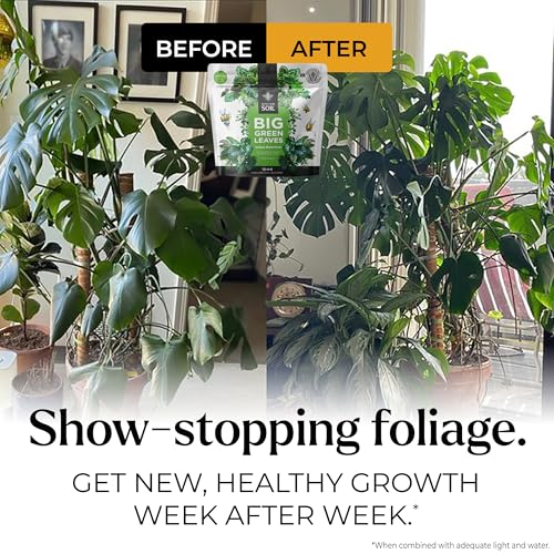 Big Green Leaves Indoor Plant Food – 4X Concentrated Fertilizer, 1 lb - view 3