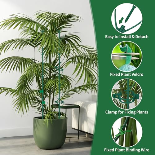 12 Pack Monstera Plant Support, Stackable Plant Supports for Indoor Plants, Pothos Plant Climber Pole, Adjustable Stakes for Indoor Plants Training & Vertical Growth Support Stakes - view 3