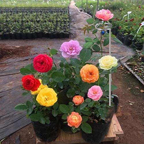 30 Inch Or 16 InchPlant Stakes for Flowers - 5 Pack, Adjustable Height - view 5