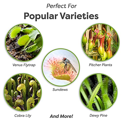 Carnivorous Plant Soil, 1 qt, Venus Fly Trap Potting Mix - view 3