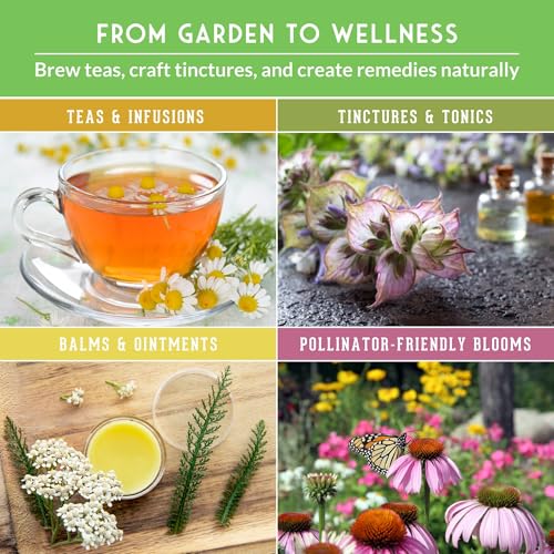Ultimate Medicinal Herb Seeds, 36-Variety Heirloom Non-GMO Pack - view 4
