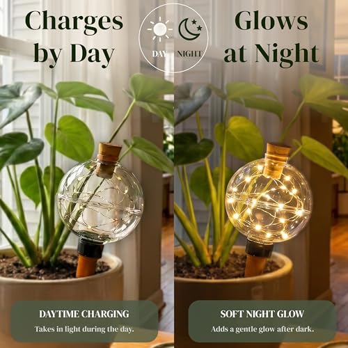 19 oz Extra Large Plant Self Watering Globes Top Fill, Classic Globe Plastic Self Watering Bulbs, LED Solar Light Automatic Waterer with Slow Release Ceramic Spikes for Indoor Outdoor Plants, 2 Pack - view 2