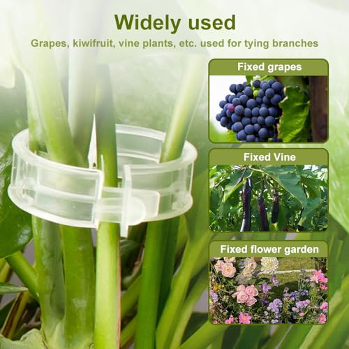 Plant Support Clips Reusable Garden Clips, Secured Plastic Plant Clips, Tomato Support Clips for String Trellis for Climbing Plants Outdoor Indoor Plant Flowers Stem Vine Fixing Clips (300, Green) - view 4