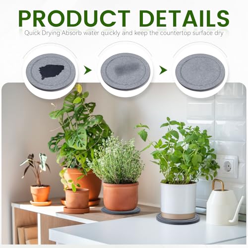3 PCS Round 5.9" Diatomite Plant Saucers for Indoors, Plant Plate - view 4