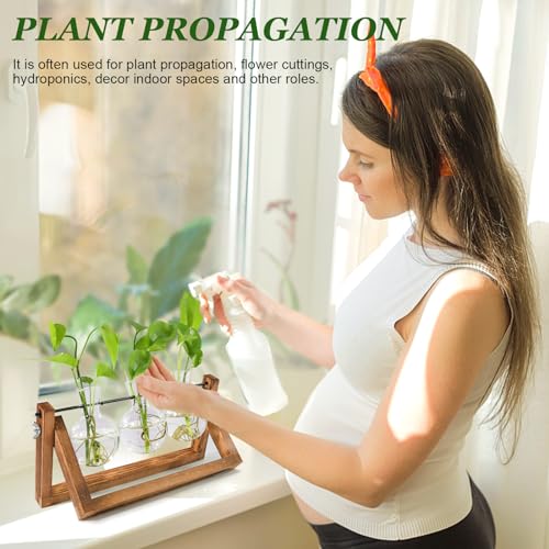 Plant Propagation Station, Plant Terrarium with Wooden Stand - view 4