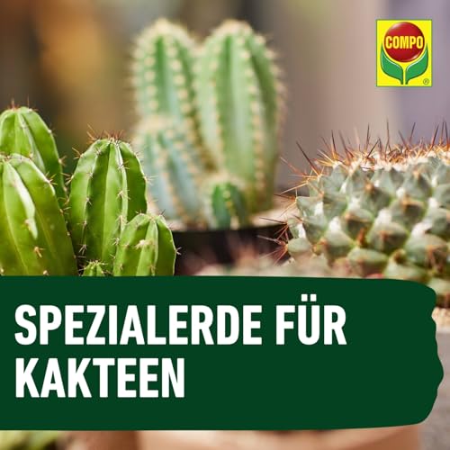 1122102004 Cactea Cactus and Succulent Soil (5 litres) - view 6