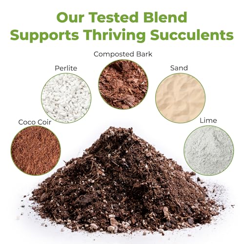 Succulent & Cactus Soil, 8 qt, Organic Potting Mix - view 2
