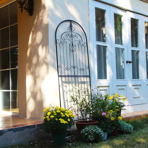 Wrought Iron Garden Trellis for Climbing Plants, 70.8" H x 25.6" W - view 5
