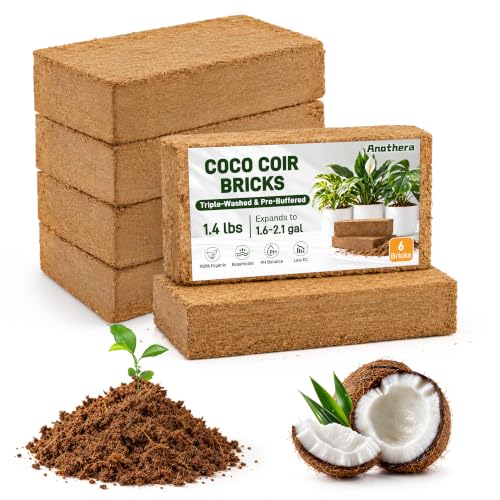 6 Pack Coco Coir Bricks for Plants 100% Organic Peat Moss
