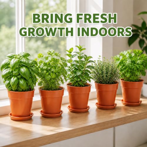 Herb Garden Kit, Indoor Herb Garden Starter Kit with Pots & Herb Seeds, Beautiful Gift Box, Gardening Gift for Women & Mom, Birthday, Christmas & Housewarming - view 3