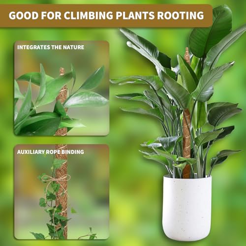 28" Bendable Plant Support Moss Pole 3 Pack for Climbing - view 3