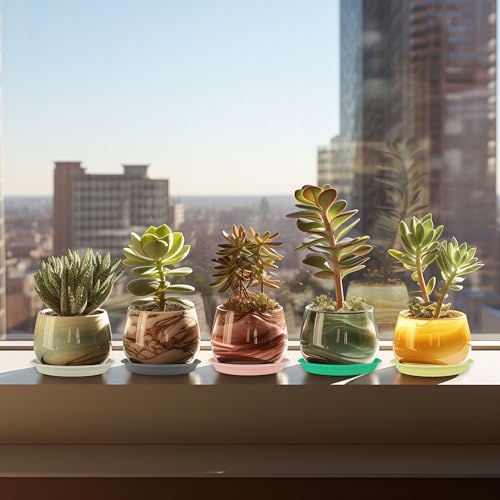 12Pcs Colourful Plant Saucer, 6 8 10 Inch Durable Plastic Plant Tray, Round Plant Pot Saucers, Drip Tray for Indoor and Outdoor Garden, Light Gray - view 4