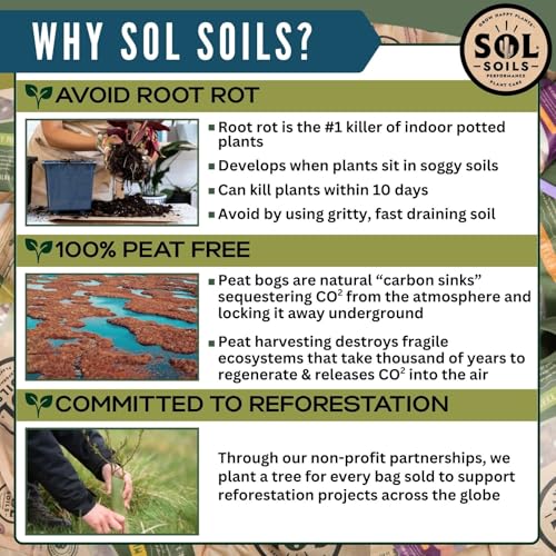 Horticultural Pumice - Lightweight, All-Natural Volcanic Rock Soil Amendment to Improve Drainage, Aeration & Maintain Moisture Balance – Filtered 3/8" to 1/4" - 1 Quart - view 6