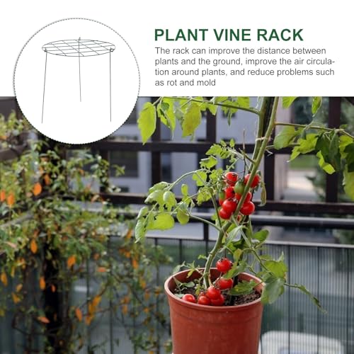 2pcs Iron Plant Climbing Rack Pole for Potted Creeper Garden Support - view 3