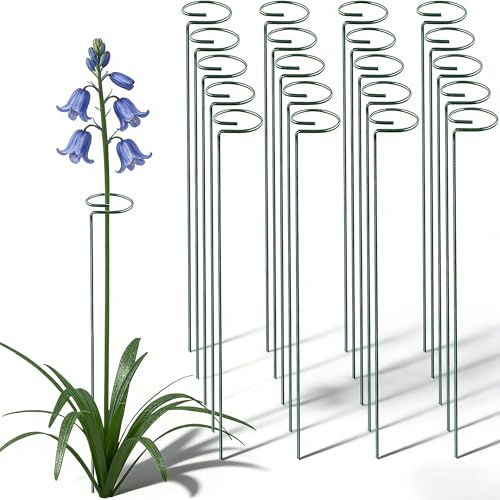 20 Pieces 36 inch Green Single Stem Plant Stakes Flower Support Rings, Gardening Planter Cages for Single Stem Flowers, Amaryllis, Peony, Lily,Narcissus Gladiolus Stakes