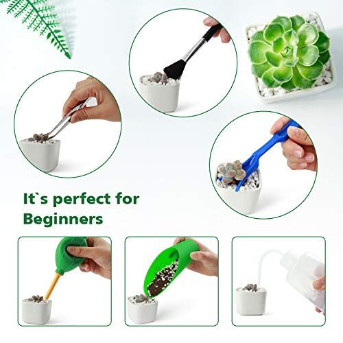 Garden Succulent Kit with Organizer Bag,15 Pieces, Green - view 6