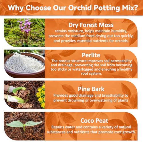 2QT Orchid Potting Mix for Repotting, Pre-Mixed & Ready-to-Use - view 3