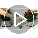 Plant Propagation Buddy 3pcs Plant Cutting Holders for Stems, Sprouts and Shoots, Indoor Plant Supports for Propagating Cuttings, Gift for Plant Lovers, Funny Plant Accessories - view 7