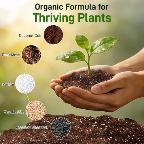 3QT Potting Soil Mix for Indoor Plants - Contains Perlite, Peat Moss, Coco Coir & Rice Charcoal, Natural & Organic Material with Well-Draining, Light & Aerated Texture for Healthy Roots & Fast Growth - view 2