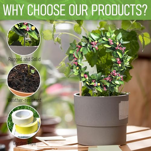 2 Pack Round Plant Trellis for Indoor Potted Plants, Acrylic Small Trellis for Climbing Plants Indoor Outdoor Plant Support for Hoya Pothos Vine Ivy Monstera Flower Philodendrons Dischidia - view 3