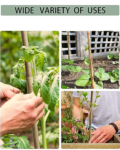 4 Ft Bamboo Stakes with 100 Twist Ties Natural Bamboo Garden Stakes for Tomatoes Cucumber Grapes Pole Beans Trees Potted Dahlia Flowers and Climbing Plants - Pack of 25 - view 7
