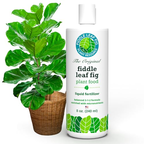 Fiddle Leaf Fig Notching Bundle - view 4