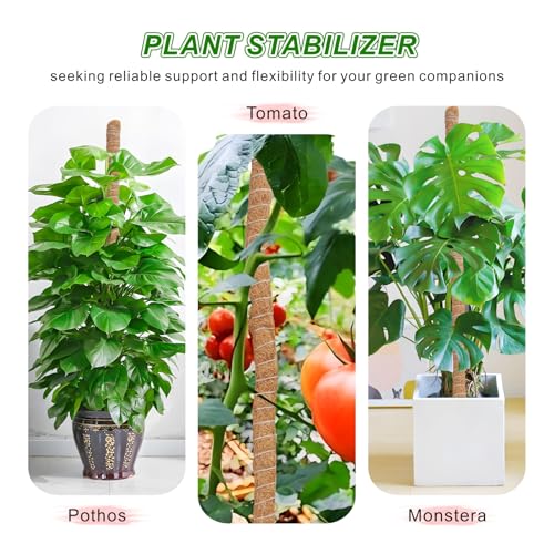 2 Pack Moss Pole Monstera Plant Support with Repotting Mat, 28 Inch Plant Support Stakes, Plant Sticks Support Tall for Indoor Potted Climbing Plants, Pothos, Philodendron - view 2