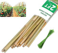 Natural Bamboo Plant Stake, 2FT, 30Pcs