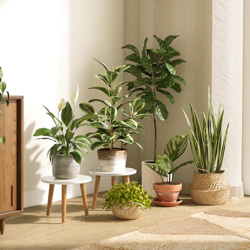 Plant Stand Indoor Small Plant Table Wood Stool for Large Plant - view 2