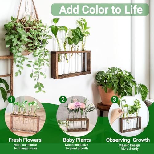 Propagation Station, Plants Terrarium, Plants Lover Gifts for Women,Plant Cutting Holder Home décor,Gifts for Women,House Warming New Home-5 Tubes-Brown - view 2