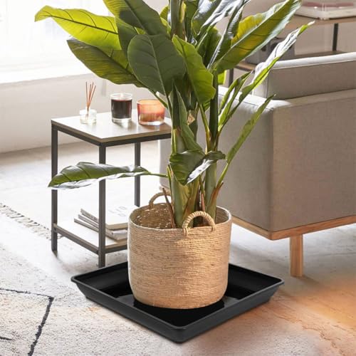 6pcs Square Plant Pot Saucer Black Plastic Drip Tray for Balcony Gardening - view 7