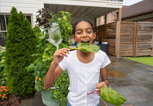 Timer for Home and Flex Growing Systems for Aeroponic Growing Systems Specifically - view 5