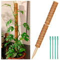 Coir Totem Pole for Climbing Plants, 2 Pcs 12'' Coir Moss Totem Stick