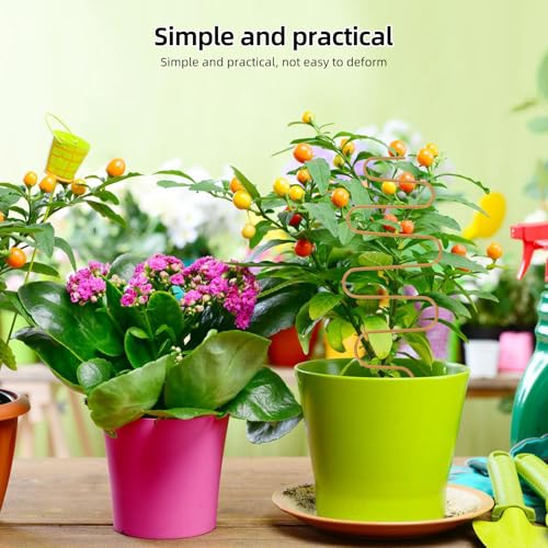 Small Metal Trellis for Potted Plants, Climbing Plant Support Stake - view 5