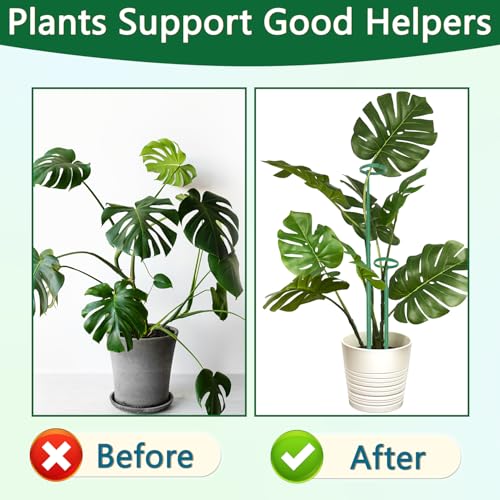 Telescoping Monstera Plant Stakes, 12.5-48.4IN Indoor Plant Support- 3Pack - view 6