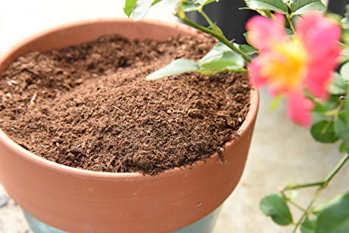 Organic Sphagnum Peat Moss, 4 qt, Soil Additive - view 2