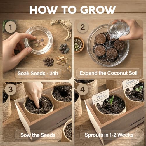 Bonsai Tree Kit Deluxe - Growing 5 Unique Japanese Bonzai Trees - view 5