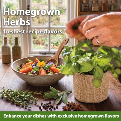 Indoor Herb Garden Kit, Complete Herb Starter Growing Kit with Seeds & Tools, Christmas Birthday Gifts for Women Men Mom Dad, House Warming New Home Kitchen Gifts for Girls Boys Plant Lovers - view 5