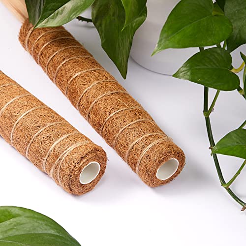 10 Pack Moss Pole, 112 Inch Coir Moss Pole for Plants Monstera, Plant Pole for Climbing Indoor Plants Potted Plants, Plant Sticks Support Extension with 30 Pcs Plant Labels and 5 Pcs Garden Ties - view 3