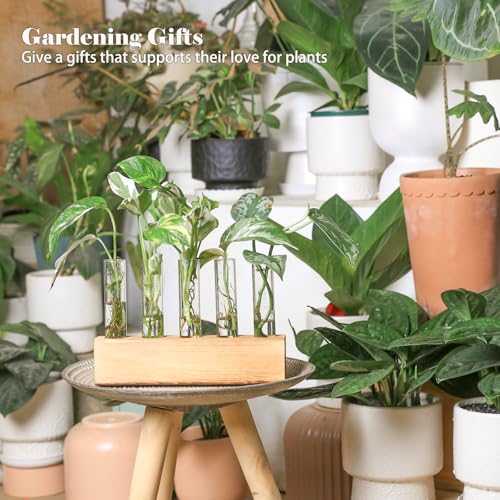 Plant Propagation Station, Plants Propagation Tubes - view 2