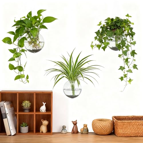4 pcs Glass Wall Hanging Planter, Oval Terrarium Vase, Propagation Station for Hydroponics, Indoor Plants, Home Office Decor (Medium) - view 4